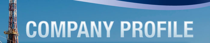 Company Profile